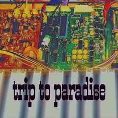 Trip To Paradise