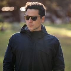 Universal Gleam - David Freidzon