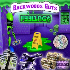 F33L1NG$ **HOSTED BY SHADOW WIZARD MONEY GANG**
