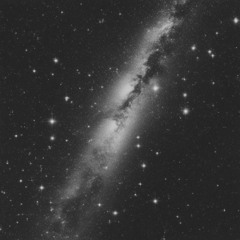 HOES ON ME [FROM FORTHCOMING TAPE]