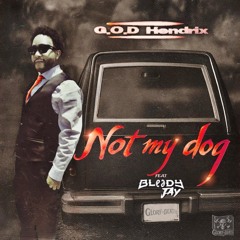 G.O.D Hendrix - Not my Dog (feat. Bloody Jay)