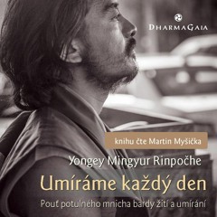 Yongey Mingyur Rinpočhe: Zrozen se stříbrnou lžičkou v puse