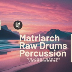 Sample Quest - Matriarch Drums 'n Percussion - Demo