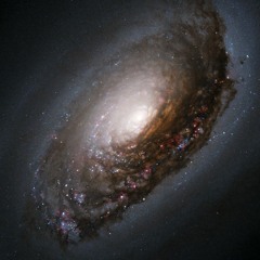 Spaaaaace (Theme from Arocket Lander)