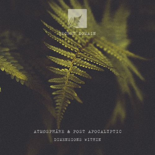 Atmøsphäre & Post Apocalyptic - Forest Sadhana