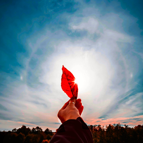 The light will find its way