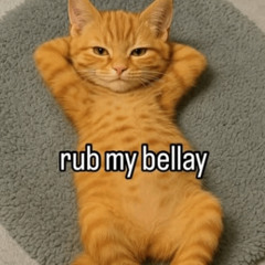 meow (jjayko x movaletP) prod. nerfjayy