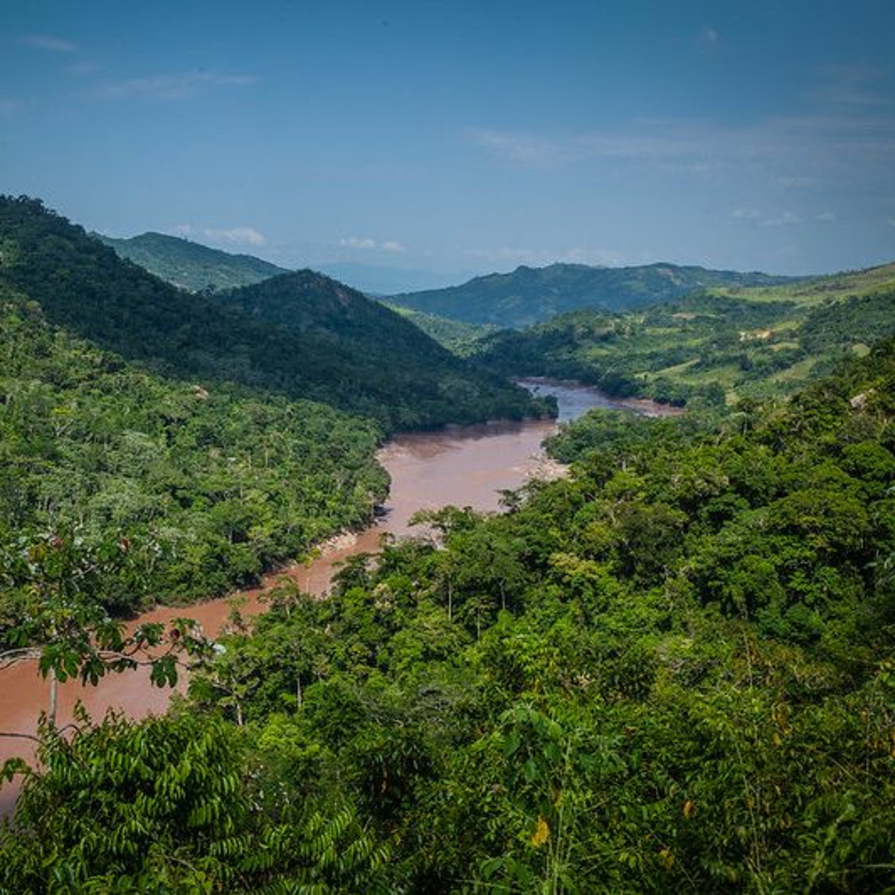 Amazon Near Climate Tipping Point, Indigenous People and Forest Care, Deep Time Reckoning and more episode artwork