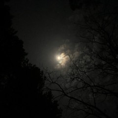 Sleep