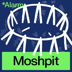 Moshpit: Existuje regionální žurnalistika?