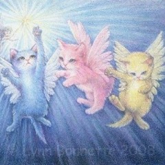 ˚₊✩☽ (Prod. starrynights)