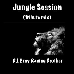 Jungle Session: Tribute Mix (R.I.P. My Raving Brother)