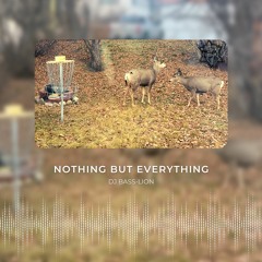Nothing But Everything