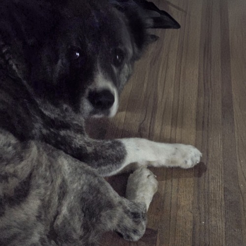 Mixea_HighBright_hd_Big Bone (Remastered).wav