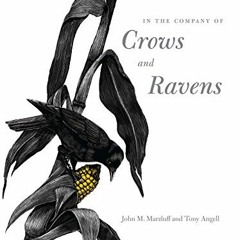 Read KINDLE PDF EBOOK EPUB In the Company of Crows and Ravens by  John M. Marzluff,Tony Angell,Tony