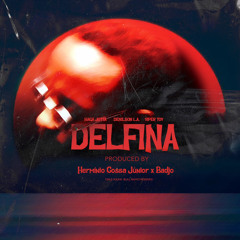 Delfina feat. Denilson L.A & Viper Toy