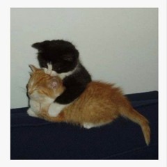 guess i'll just play guitar (instrumental int)