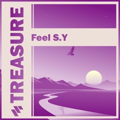Feel S.Y - Treasure