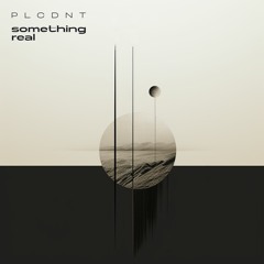 PLCDNT - Something Real