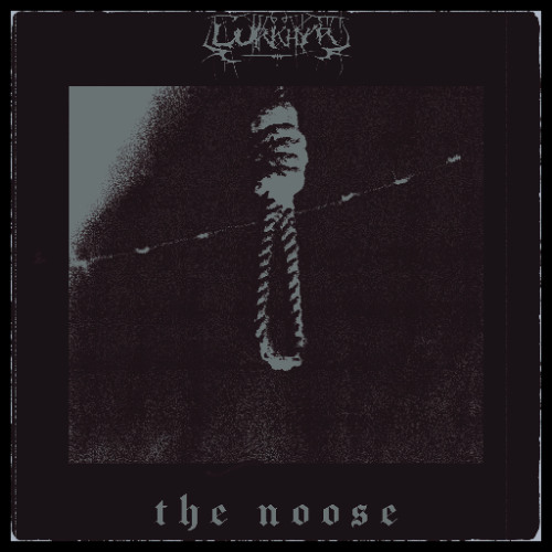 𝖙𝖍𝖊 𝖓𝖔𝖔𝖘𝖊