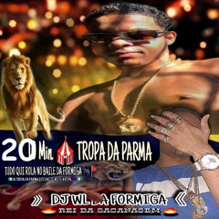 # TUDO QUE ROLA NO BAILE DA FORMIGA [ VEM PRA PARMA ] PROD. DJ WL DA FORMIGA -2025 B=AFROLATA.