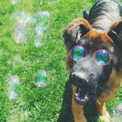 Eternal Flamme (Just Trying To Maintain)