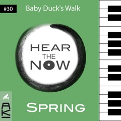 Baby Ducks Walk (Hear the Now - Spring)