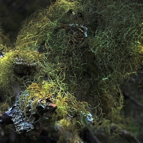 NUM @ IT MIRACLE - SATURN RETURNS