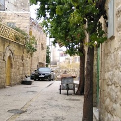 ما أهوى بدالك + يا حلو اشتقنا + يا رايح ع الشام + فوق إلنا خل -أمسية دلال أبو آمنة