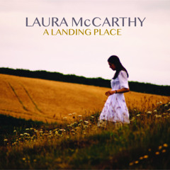 Shadow in the Field | A Landing Place | Laura McCarthy