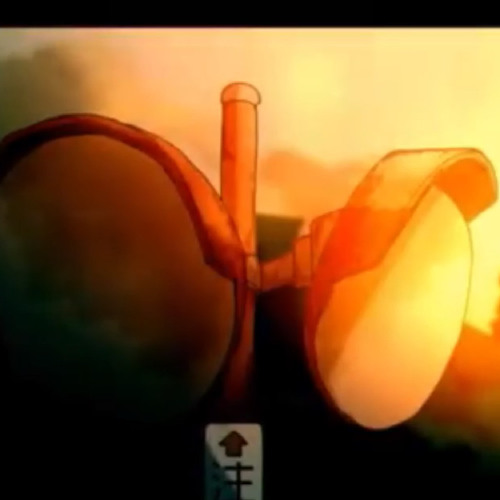 The Light Of Yomikudari - Yomikudari no hi - Shannon