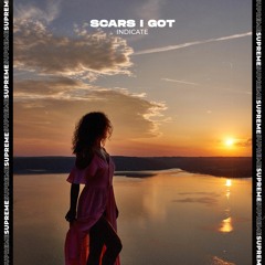 Indicate - Scars I Got