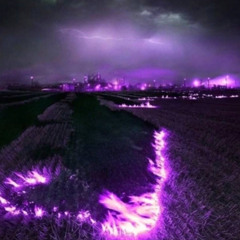 Nightmorss - Purple Haze