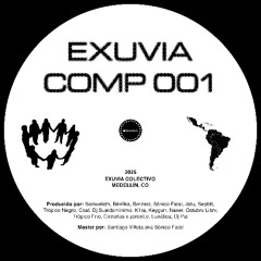 [Premiere NTRPC] sepbtt - Raigeki (EXUVIA COMP 001)