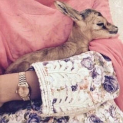 ⁨ياغزال علق الوسم في قلبي وراح