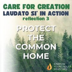 Protect the Common Home (Laudato Si' in Action #3)
