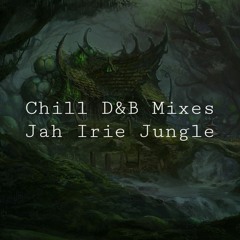 [DJ] Mellow DnB Jungle Jah Atmo Irie Mix | Q7/QM (54)