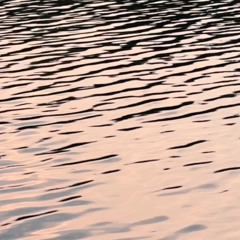 Jamn 25 13 - Cirrus Lake, Water Gazing