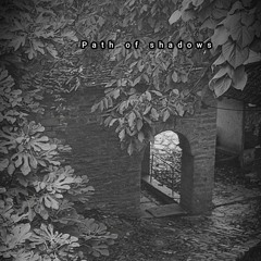 Path of shadows