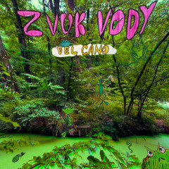 Zvuk Vody