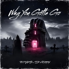 Why You Gotta Go - TECHARD & Tim Ferru