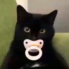 you