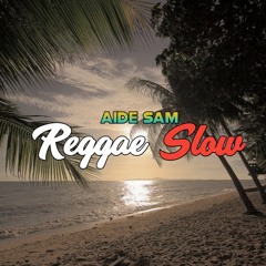 Baka Baya x Sanikira (Reggae Slow)