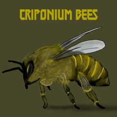 Criponium Bees