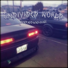 UNDIVIDED WORLD [remake]