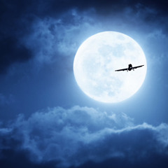Fly Me To The Moon