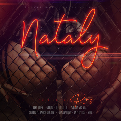 Nataly (Remix) [feat. De La Ghetto, La Perversa, Secreto El Famoso Biberón, Shadow Blow & Zion]
