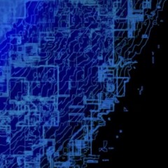 Quantum Immortality