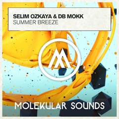 Selim Ozkaya & Db Mokk - Summer Breeze