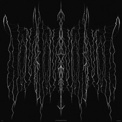 AMYGDALA